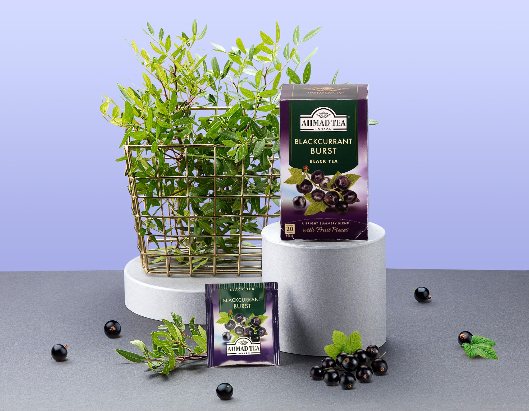 Ahmad Tea Blackcurrant Burst Black Tea, 20-Count Boxes (Pack of 1) - Image 5